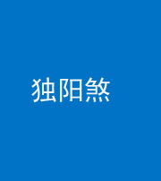 荆州阴阳风水化煞四十二——独阳煞